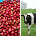 Comparing Dairy Industries in Wisconsin: Eau Claire vs. Other Areas
