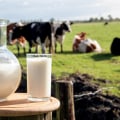 The Impact of Consumer Demand for Convenience Products on Dairy Production in Eau Claire, Wisconsin