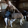 The Struggles of Dairy Farming in Eau Claire, Wisconsin