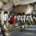 Safety Regulations for Dairy Industries in Eau Claire, Wisconsin: What Employers Need to Know