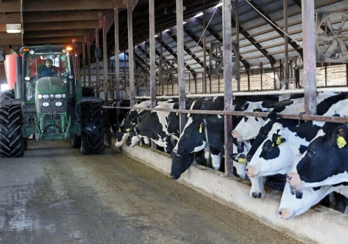 What Services Do Dairy Industries in Eau Claire, Wisconsin Offer to Their Customers?