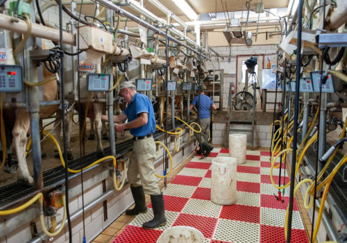Exploring The Rich History Of Dairy Industries In Eau Claire, Wisconsin